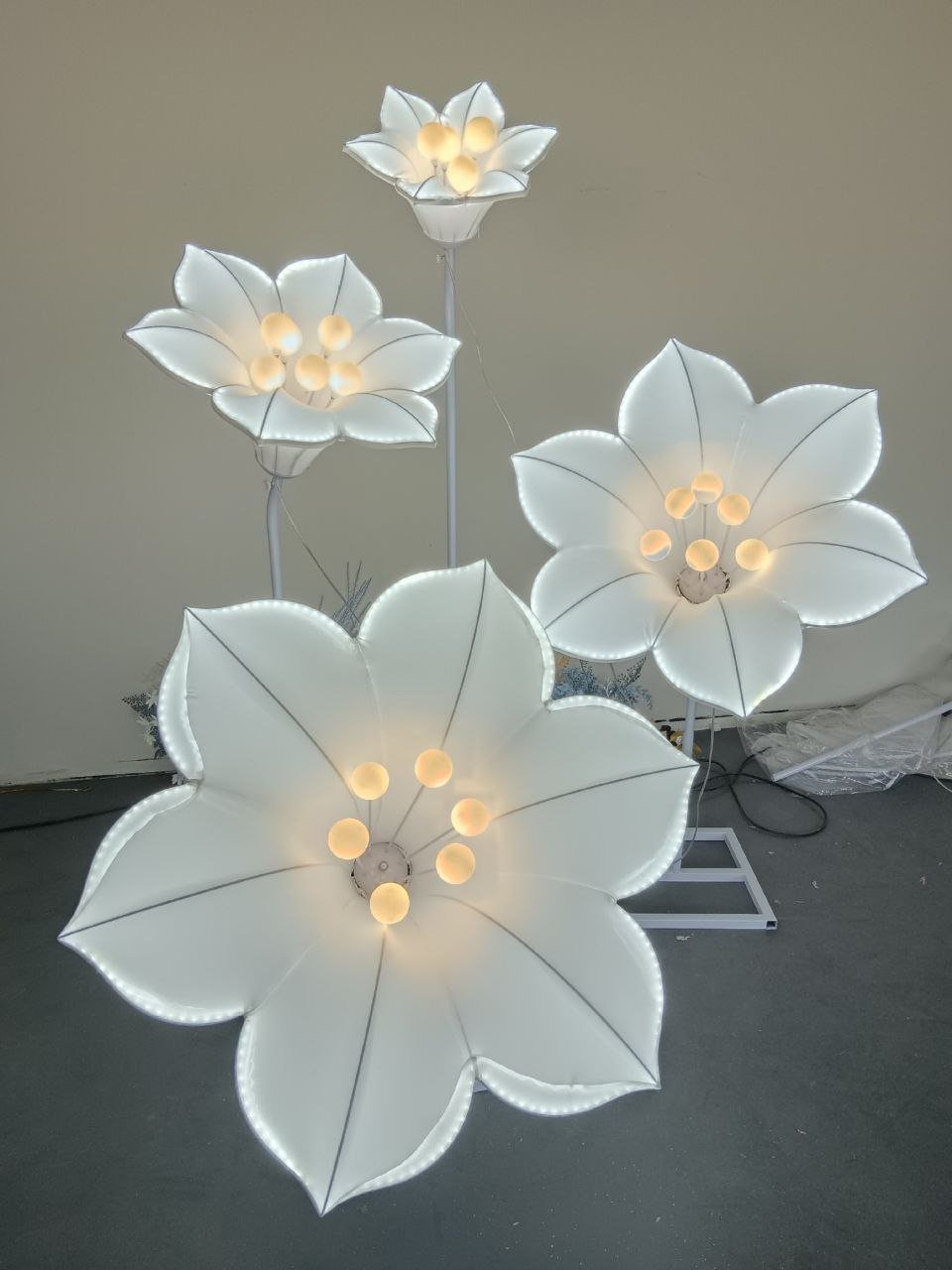 FLORES NUEVAS EN PUNTA  MEDIANA 1