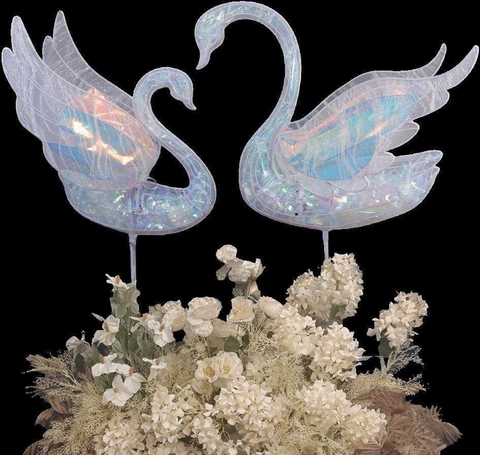 CISNE CORAZON PEQUE