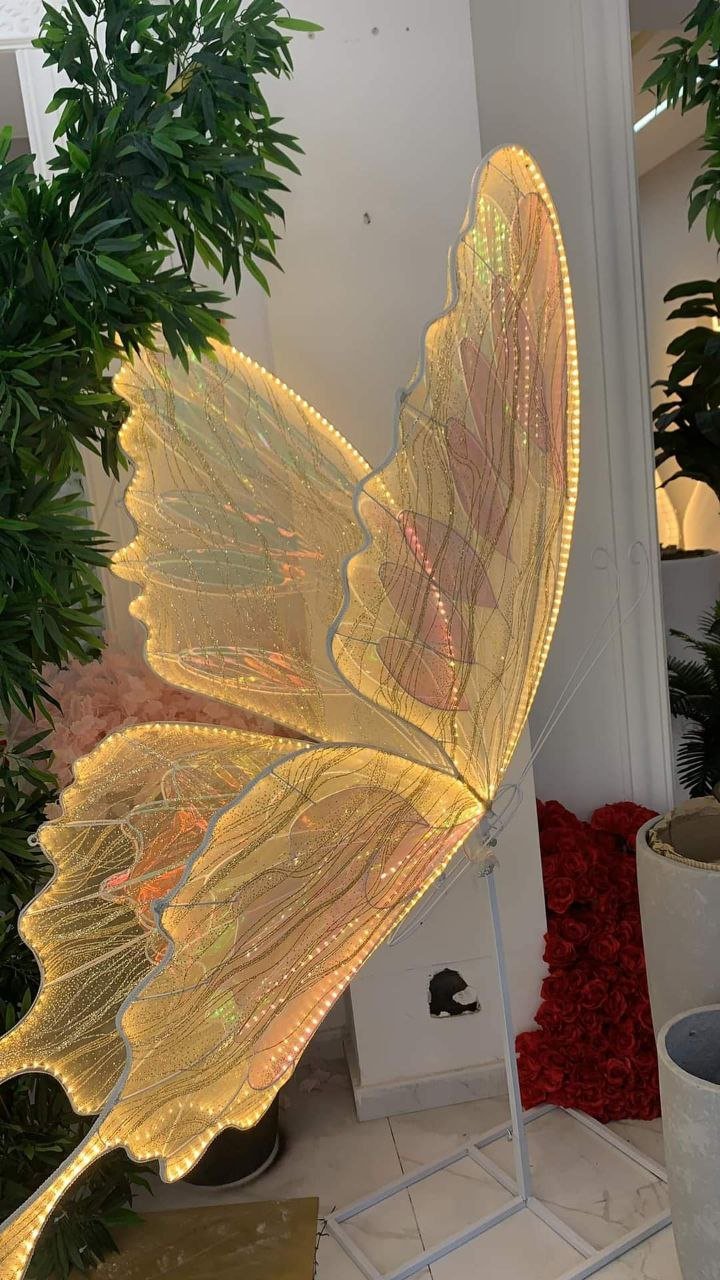 MARIPOSA SOLA GRANDE